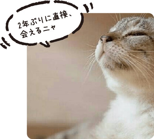 ★8月8日は世界猫の日！猫好きにはたまらない、大丸梅田店の「ねことしあわせDAYS」今年も開催！8月6日（土）・7日（日）には、保護猫譲渡会も実施します！