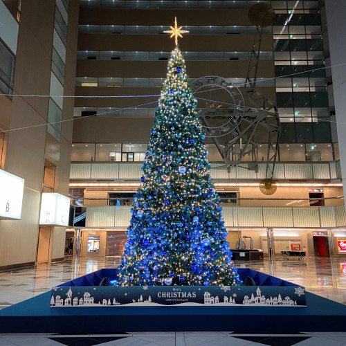 新宿のオフィス街に巨大ツリーが出現！？クリスマス気分を仕事終わりのあなたにも。￼
