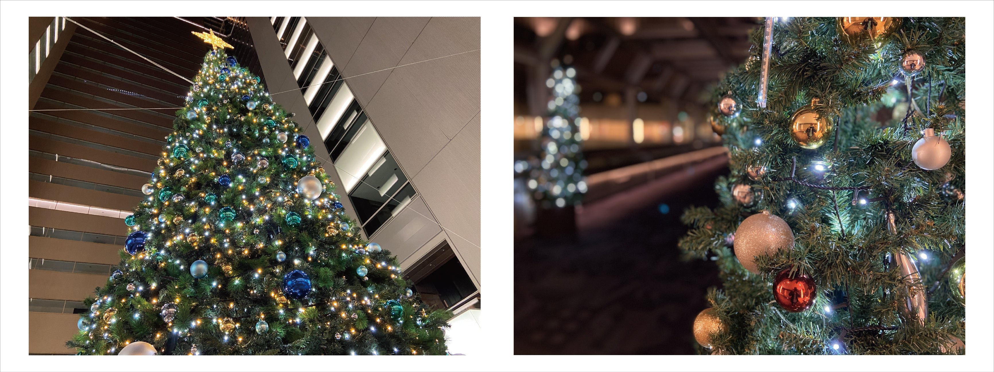 新宿のオフィス街に巨大ツリーが出現！？クリスマス気分を仕事終わりのあなたにも。￼