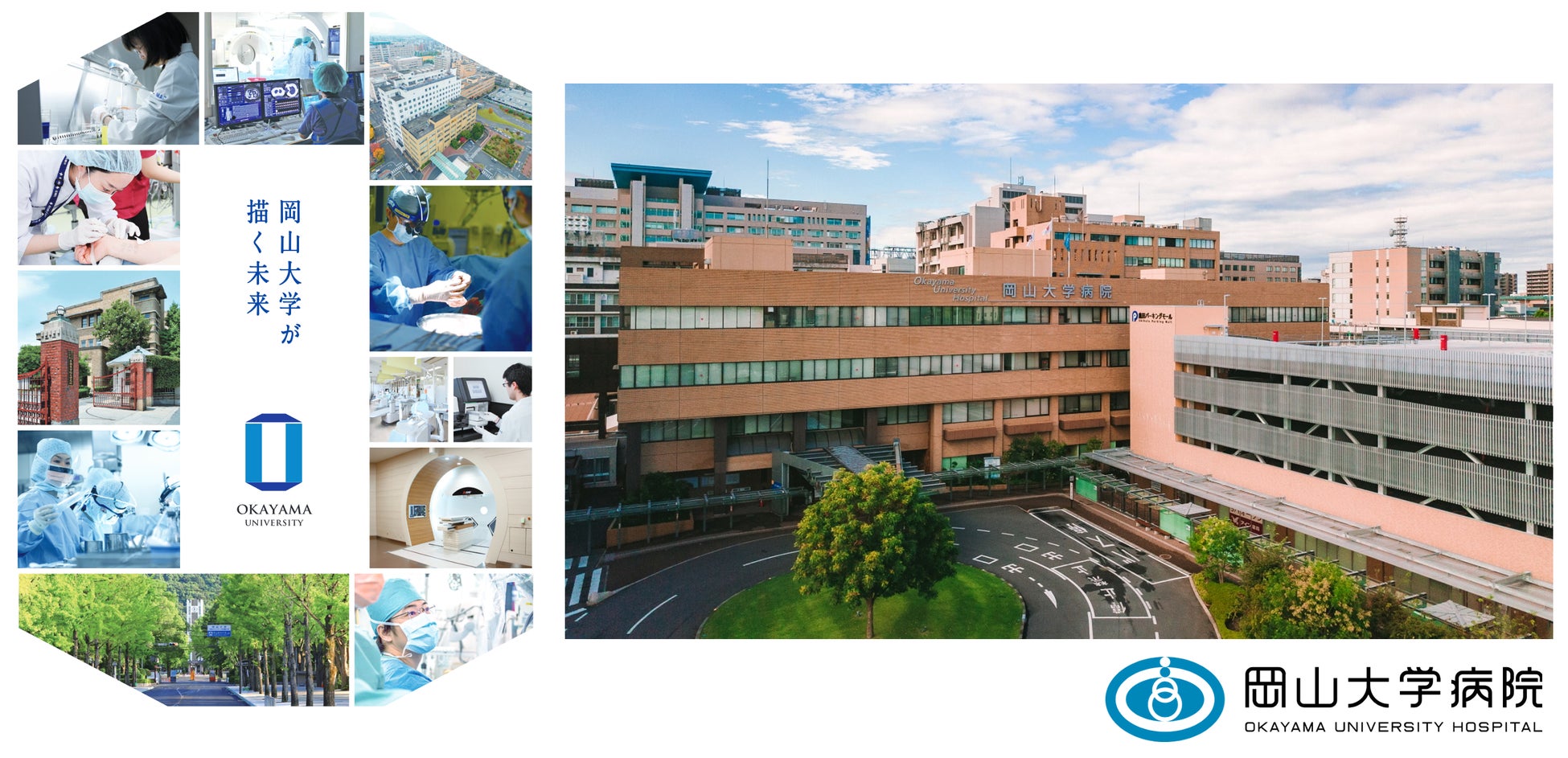 【岡山大学】岡山県内の感染状況・医療提供体制の分析について（2023年6月30日現在）