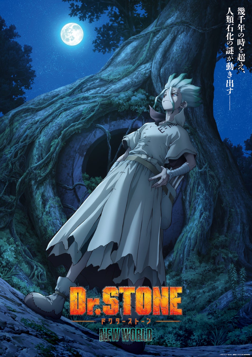 ©米スタジオ・Boichi／集英社・Dr.STONE製作委員会