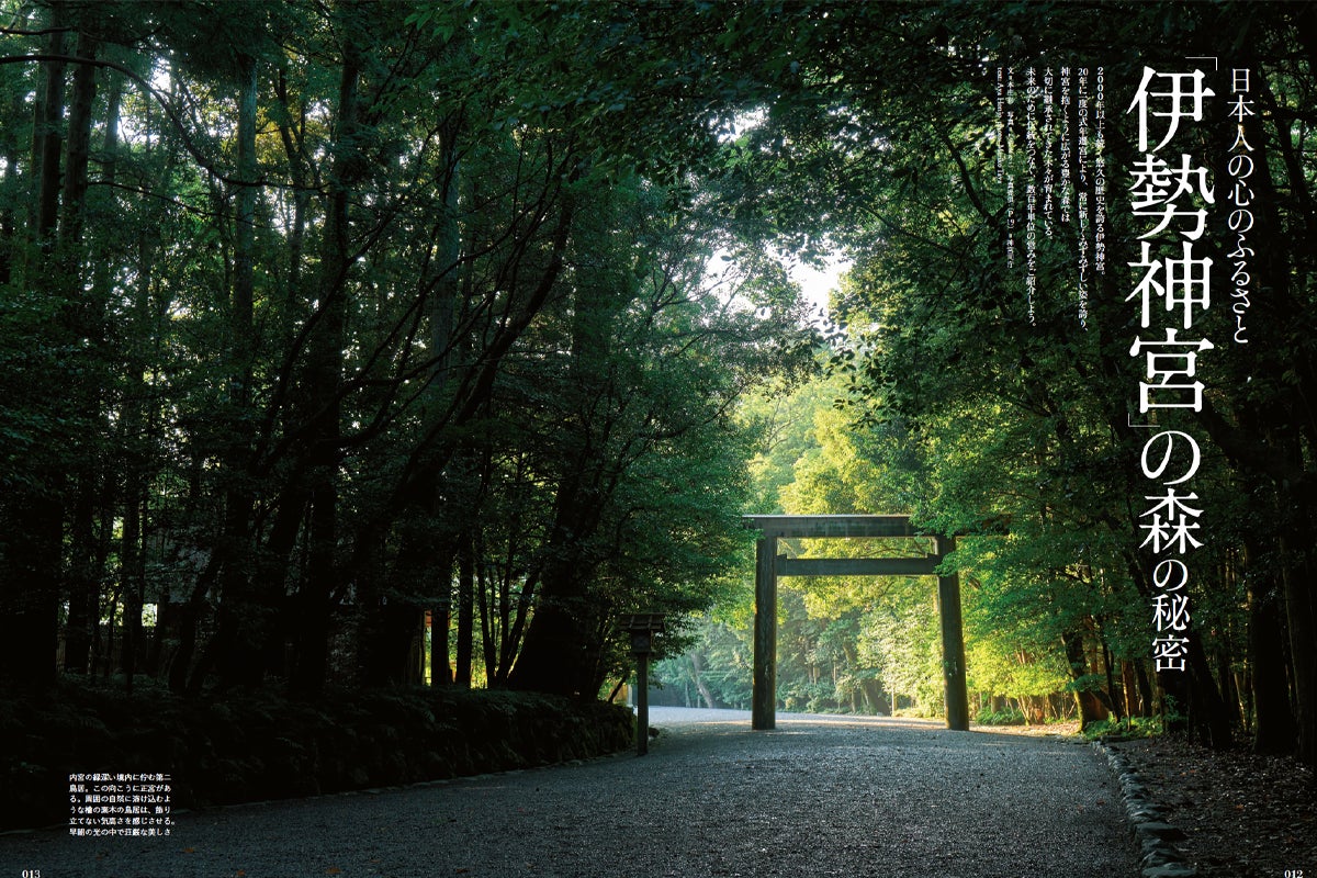 『Discover Japan（ディスカバー・ジャパン）』 2023年9月号「木と生きる」が8月4日に発売！