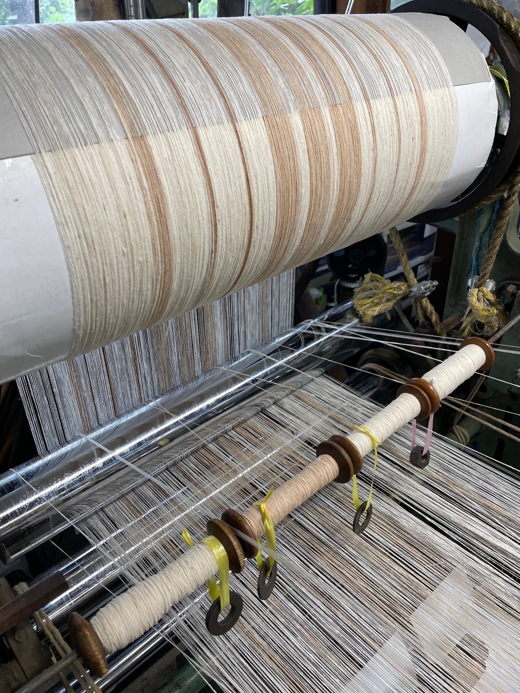 【自給率０(ゼロ)の日本の綿文化を変える！】明治に途絶えた「和綿」と希少な「旧式シャトル織機」で作るサステナブルな未来のための国産オーガニック「手つむぎ糸の和綿マフラー」が9/1(金）ついに新発売！
