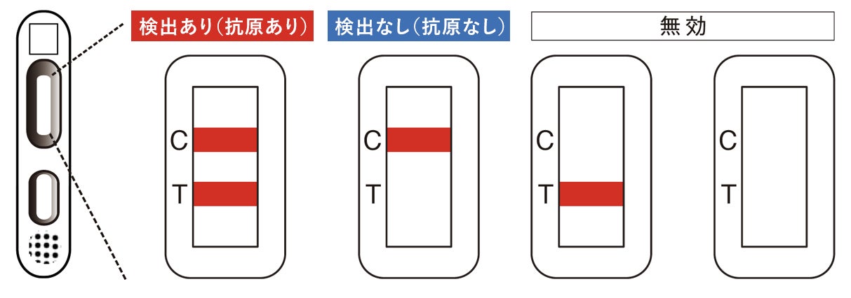 【変異株対応】簡単15分コロナウイルス 抗原検査 880円〜セール実施のお知らせ