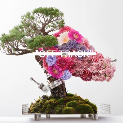 福岡を拠点に世界展開する、盆栽の概念を再構築する盆栽クリエイティブブランド"Scapes"が、東京で初となる個展「OFF TRACK」を9月19日から9月24日まで開催決定！