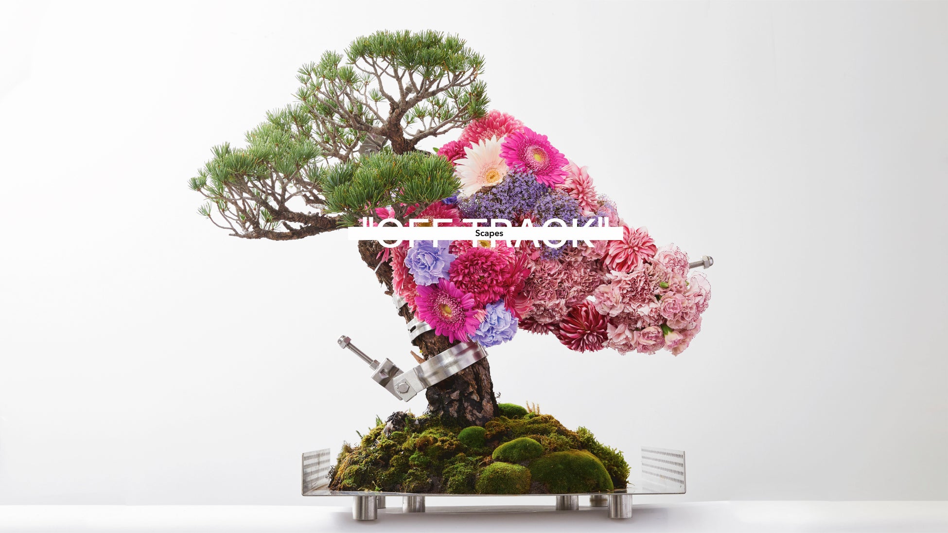 福岡を拠点に世界展開する、盆栽の概念を再構築する盆栽クリエイティブブランド"Scapes"が、東京で初となる個展「OFF TRACK」を9月19日から9月24日まで開催決定！
