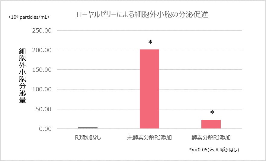 間葉系幹細胞をローヤルゼリーで培養することで肌の再生に関わる細胞外小胞の機能が向上することを発見