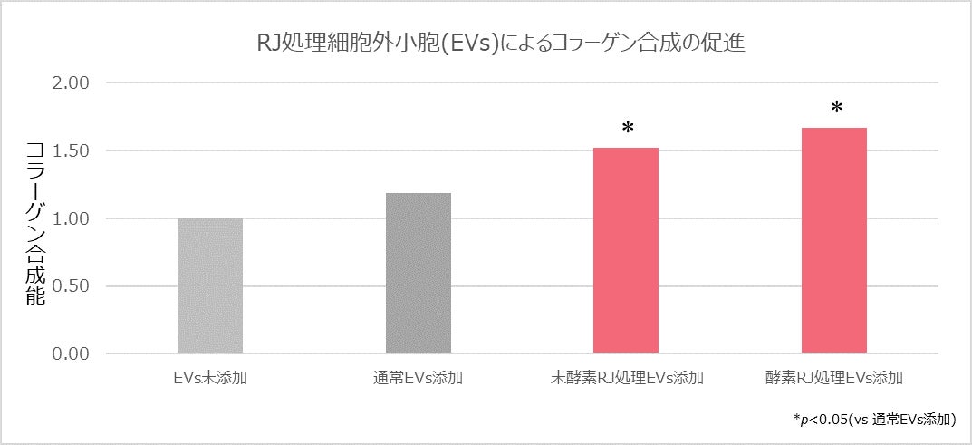 間葉系幹細胞をローヤルゼリーで培養することで肌の再生に関わる細胞外小胞の機能が向上することを発見