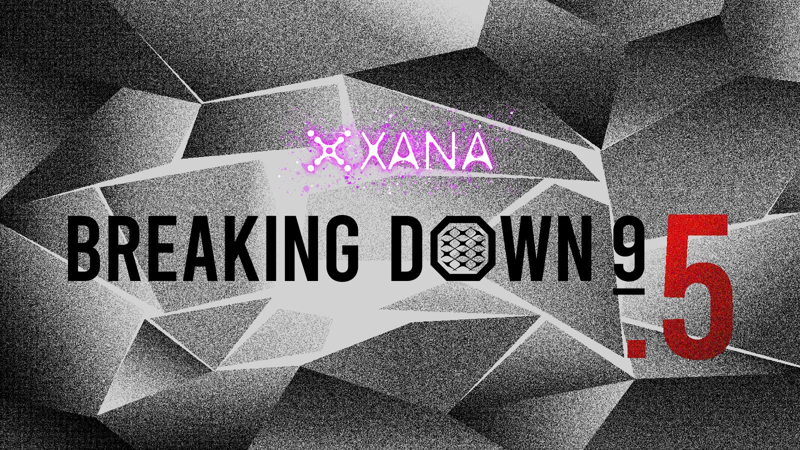 XANA presents BreakingDown9.5の対戦カード決定！ 喧嘩自慢最強決定戦のリベンジマッチを含む全７試合〜10月8日（日）に全試合無料ライブ配信を実施〜