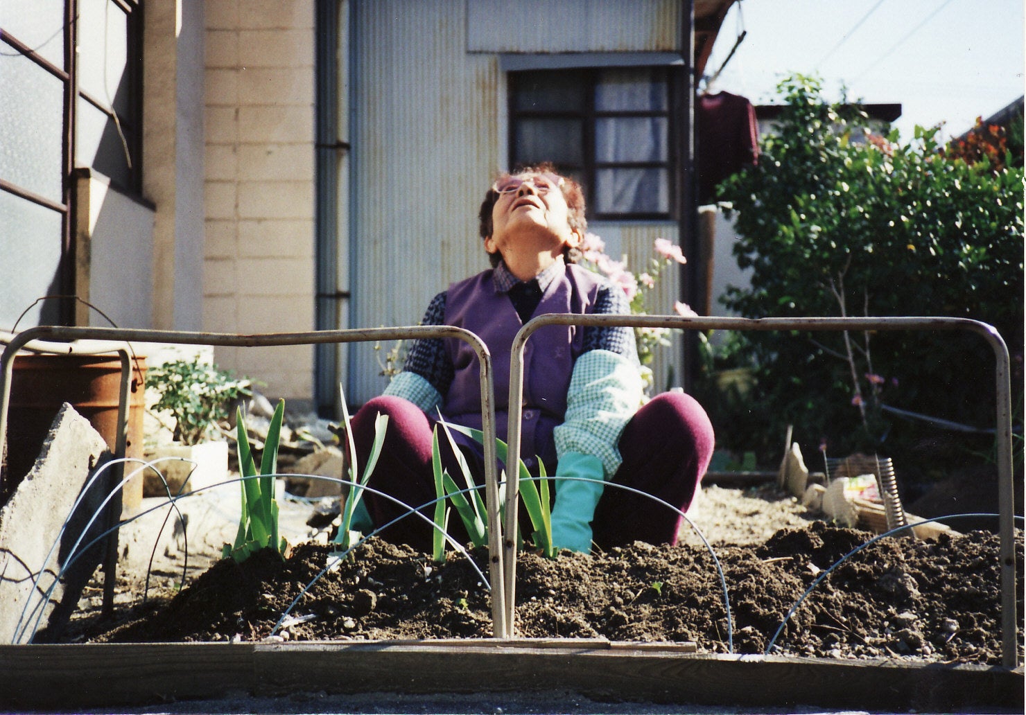 河瀨直美の原点、「いのち」を見つめるドキュメンタリー５作品　― うのばぁ と なおみちゃん ―