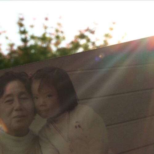 河瀨直美の原点、「いのち」を見つめるドキュメンタリー５作品　― うのばぁ と なおみちゃん ―