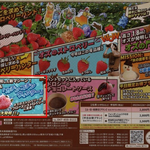 急速冷凍したイチゴが体験出来るイチゴ狩りイベントが12月30日（土）より京成バラ園にて開催！