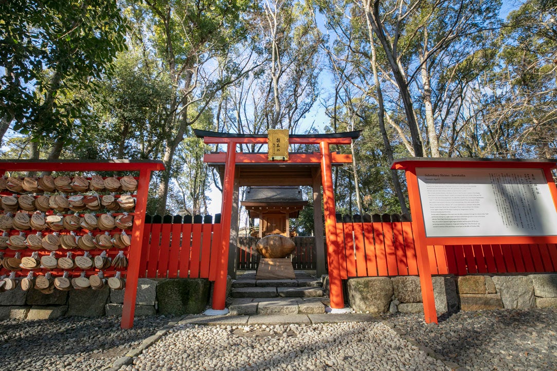 世界遺産下鴨神社から日本ラグビーを祈る