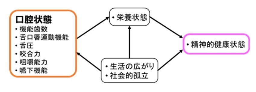 【岡山大学】口の状態が良い人は精神的健康状態が良好！