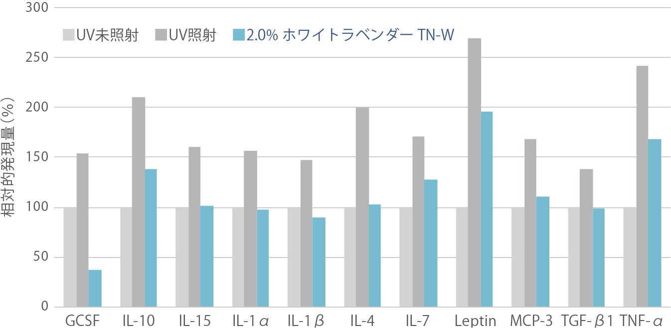 ホワイトラベンダーTN-Wの炎症性サイトカイン分泌抑制効果