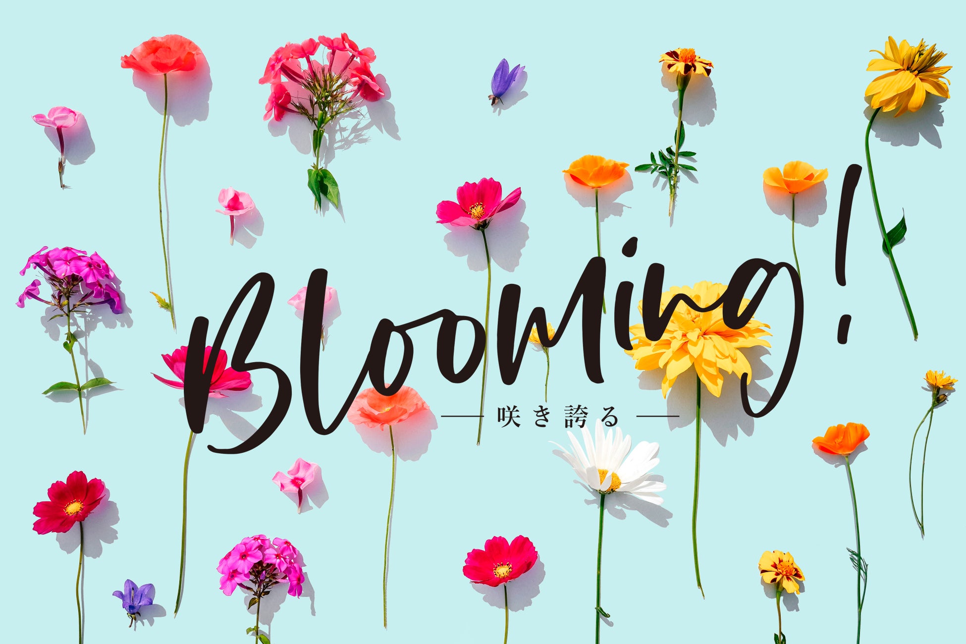 阪急うめだ本店『HANKYU Mama Community』の初企画、子育てママを応援する取り組み『Blooming! -咲き誇る‐』...