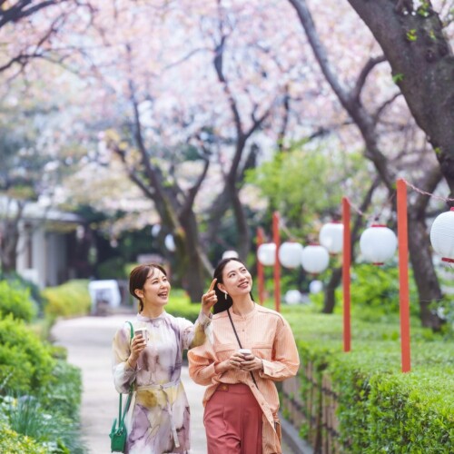 【高輪エリアのプリンスホテル】日本庭園の桜が織りなす趣深い絶景と京文化体験を愉しむ 心と体が満たされる...