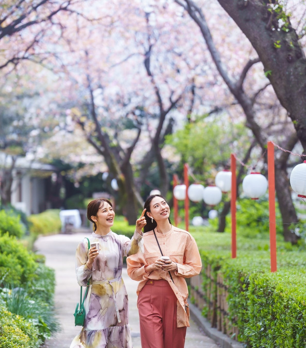 【高輪エリアのプリンスホテル】日本庭園の桜が織りなす趣深い絶景と京文化体験を愉しむ 心と体が満たされる...