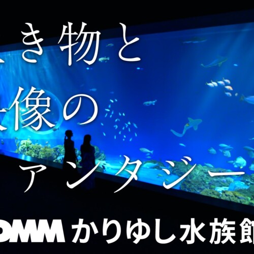 DMMかりゆし水族館　新テレビCM放送開始