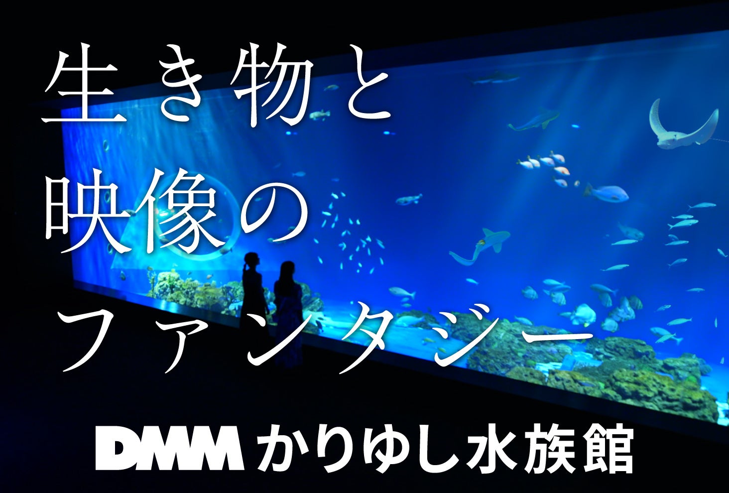 DMMかりゆし水族館　新テレビCM放送開始
