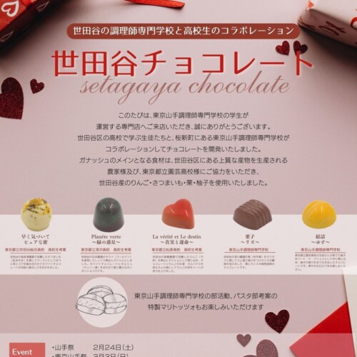 高校生が世田谷-setagaya-の魅力をチョコレートに閉じ込める、「世田谷チョコレート」