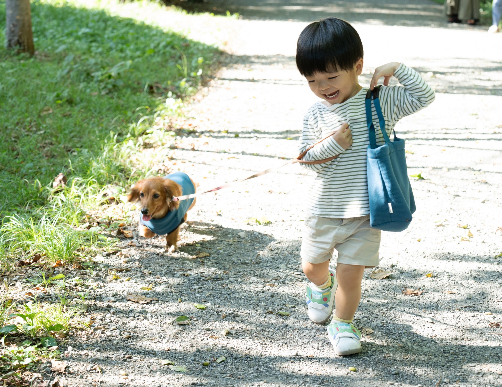 「高機能性繊維と技術でワンちゃんを包み込む。着心地重視のドッグウェア『HUGLABO 』」のクラウドファンディ...