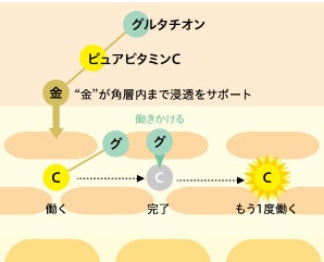 皮膚科医監修D2Cスキンケアブランド【dr365】から、Wビタミンで毛穴と陽射しに立ちむかう「UVデイエッセンス...