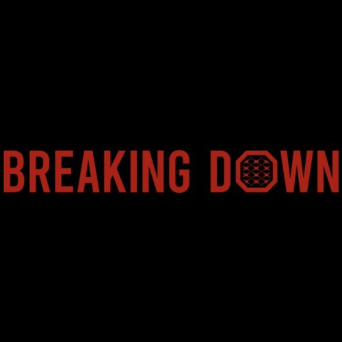 超話題のライトノベルをTVアニメ化した「異修羅」が『拳極 presents BreakingDown11』のゴールドスポンサーに...
