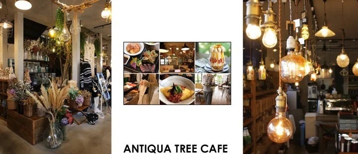【ANTIQUA TREE CAFE】『福袋』を店舗限定＆数量限定で販売中！初売りセールも1月13日まで期間限定で同時開催...