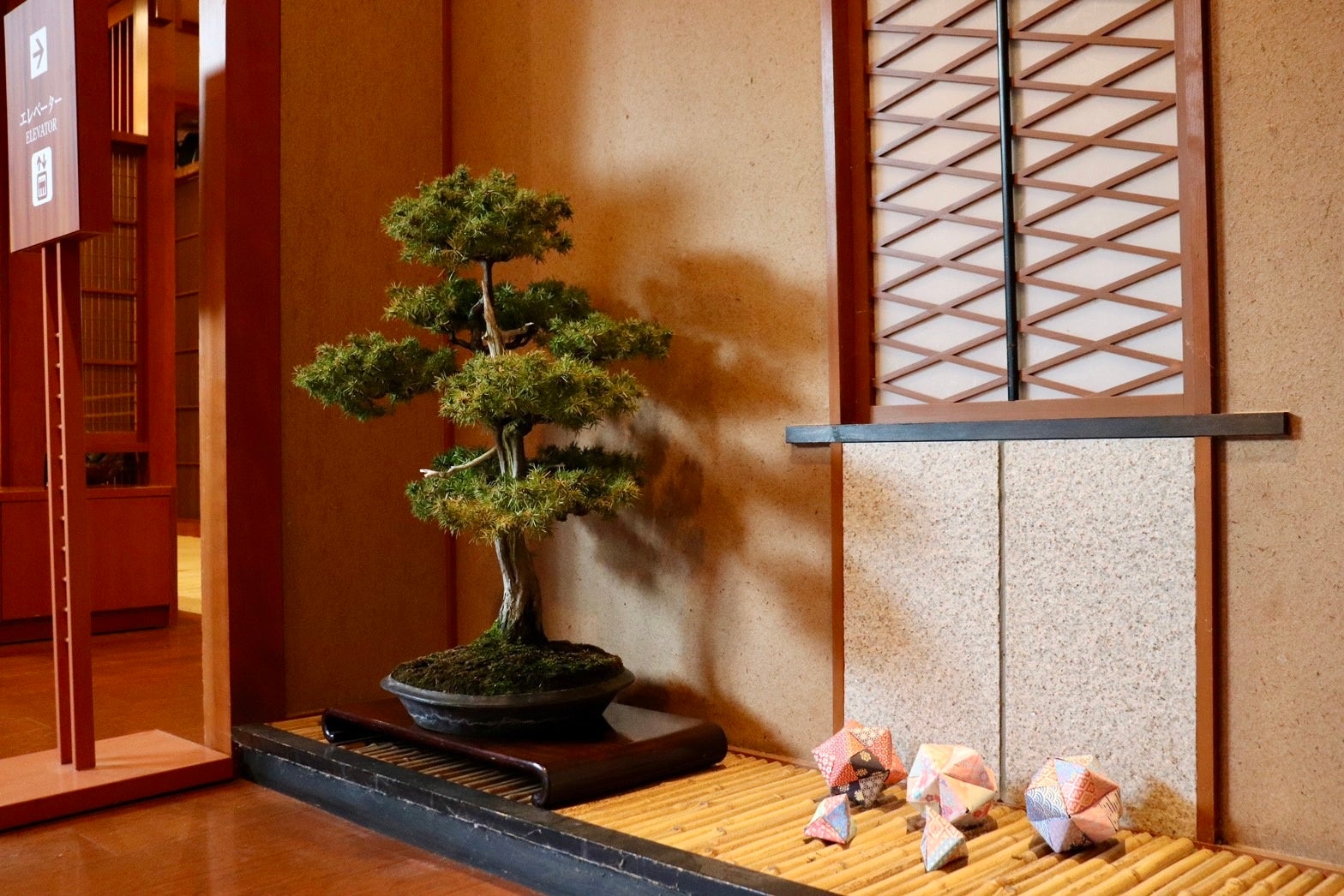 【京都宇治から盆栽文化を】日本の伝統「盆栽」で京都の未来を絶景に。