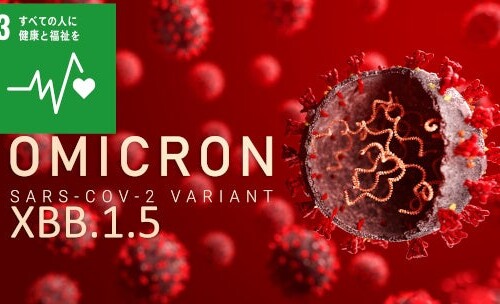 オミクロンXBB.1.5のウイルス学的特性の解明～新型コロナウイルスの生態の全容解明に貢献すると期待～
