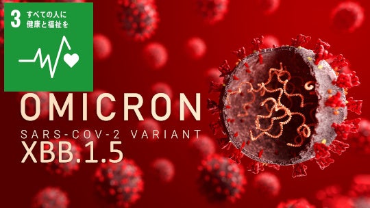 オミクロンXBB.1.5のウイルス学的特性の解明～新型コロナウイルスの生態の全容解明に貢献すると期待～