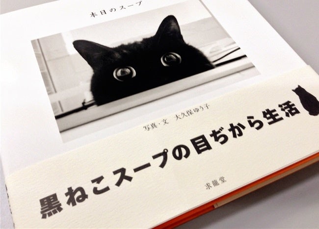 2月22日から猫の日スペシャルキャンペーン！猫大好きな皆様に向けて、猫関連の訳アリ美術本を特別価格でご提供！