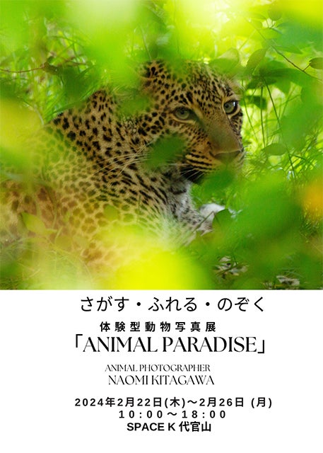 体験型動物写真展が代官山にて開催！『ANIMAL PARADISE』