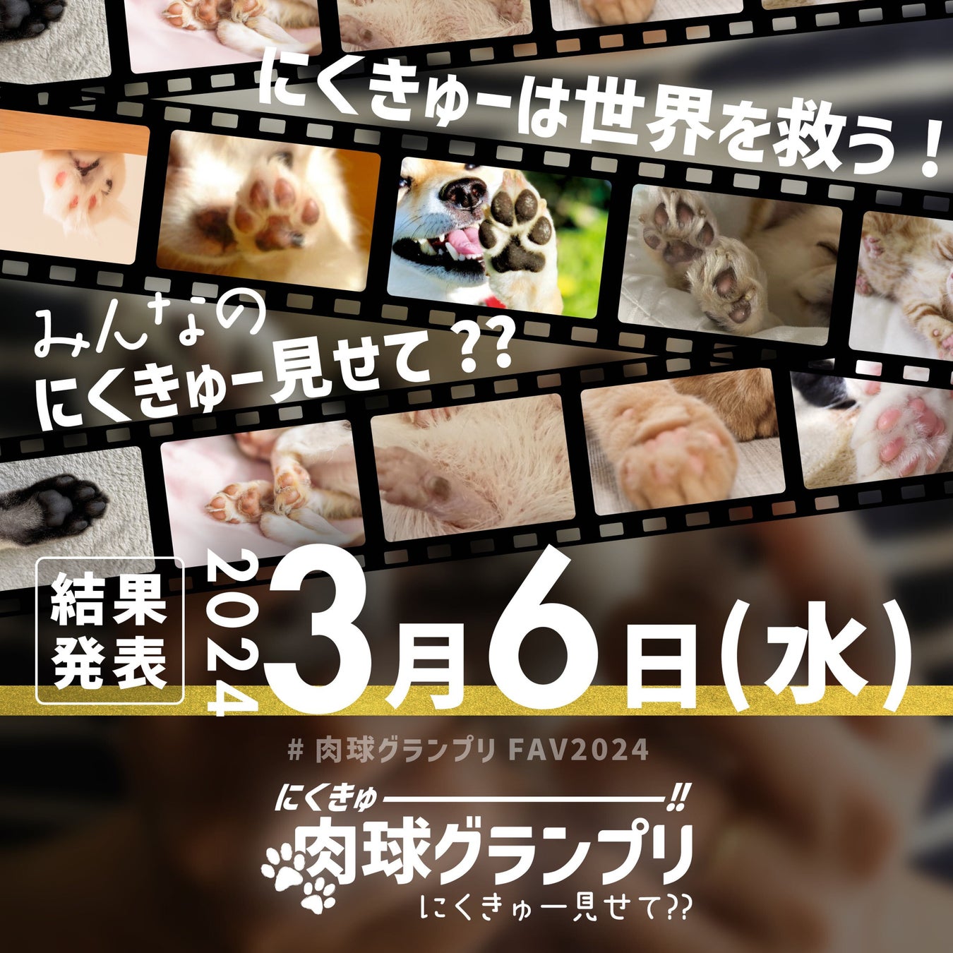 "日本一の肉球が決定する" 2024年2月9日（金）より肉球グランプリを開催！