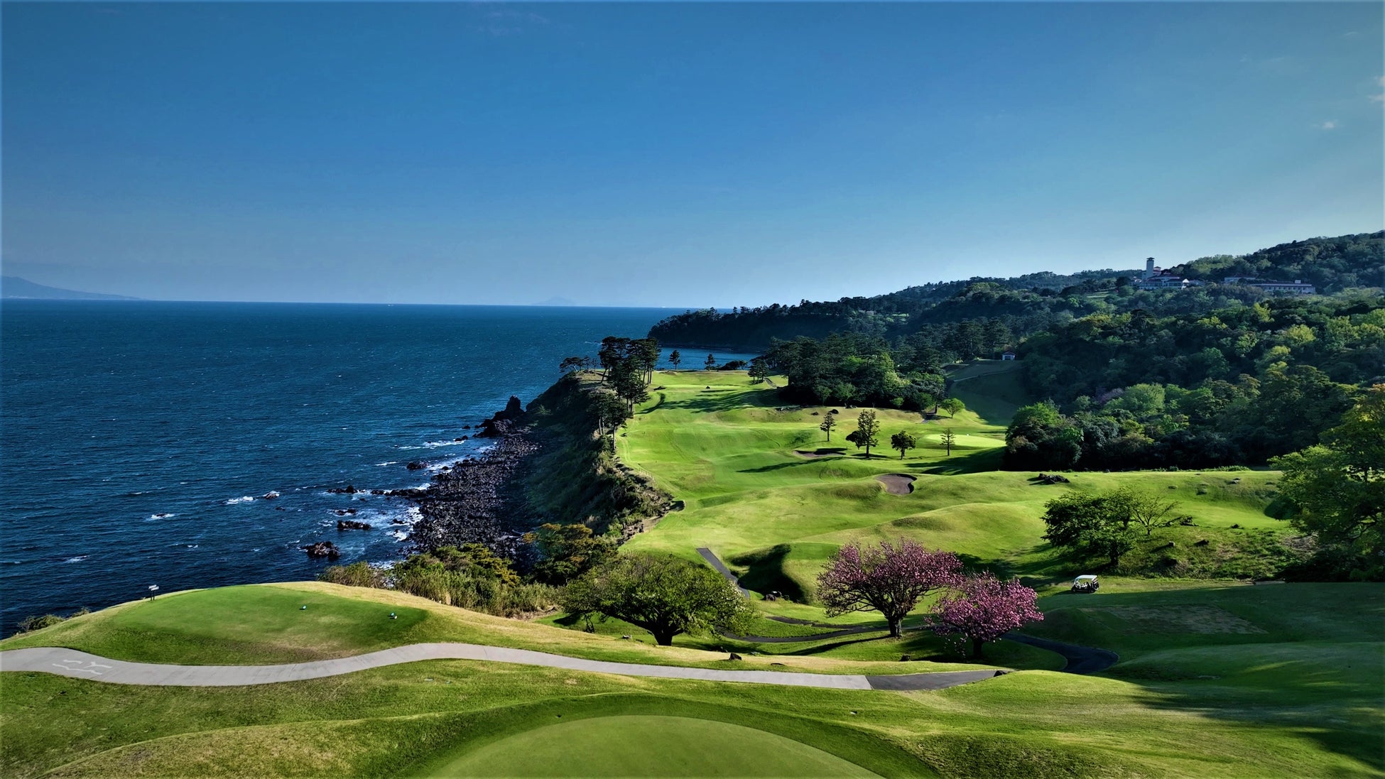 【川奈ホテル】早咲きの寒桜や河津桜、大島桜、染井吉野、八重桜まで。桜を見ながら絶景のゴルフコースを電動...