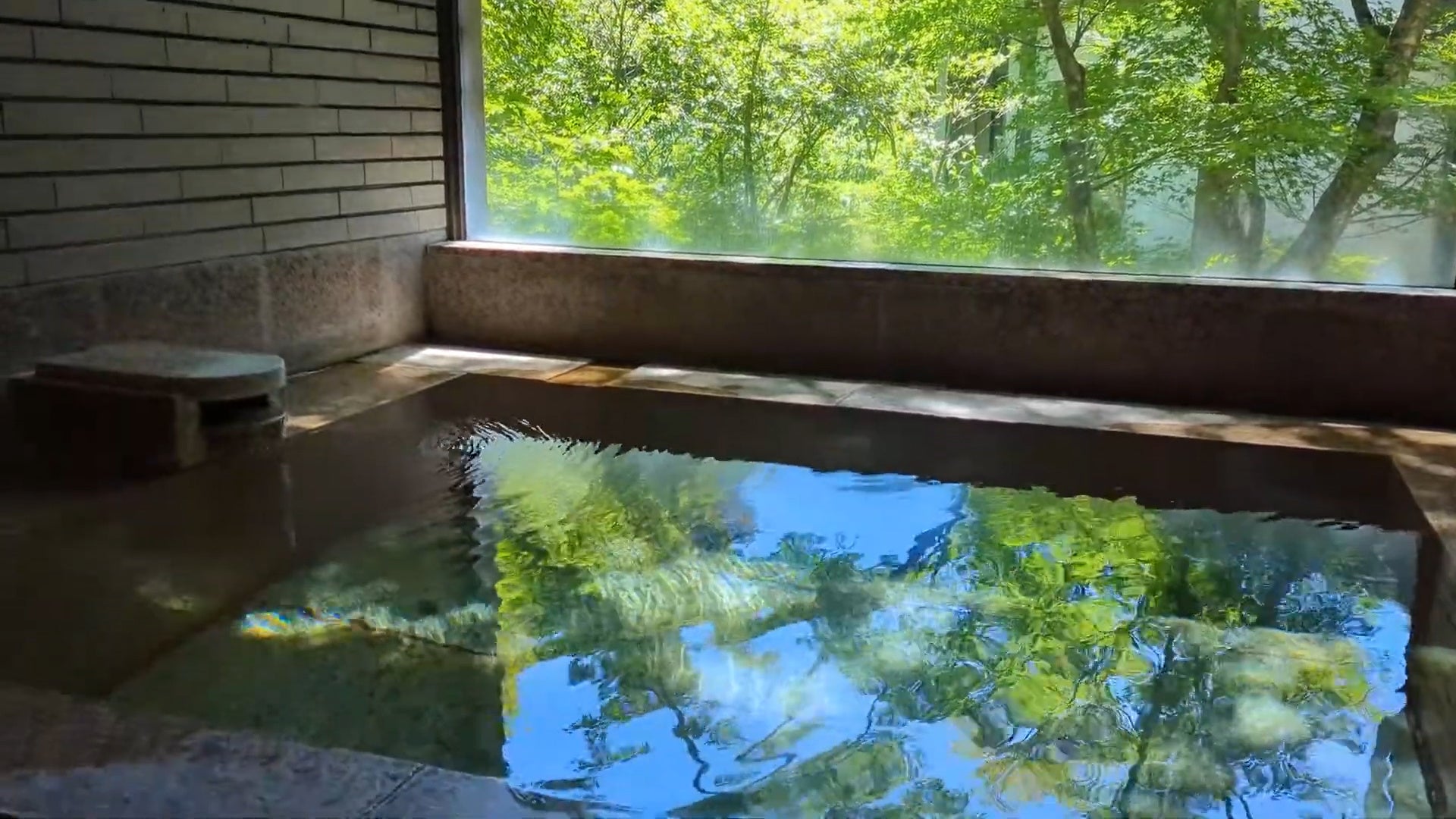 【箱根園】芦ノ湖畔で一足『遅い』桜満喫お花見体験