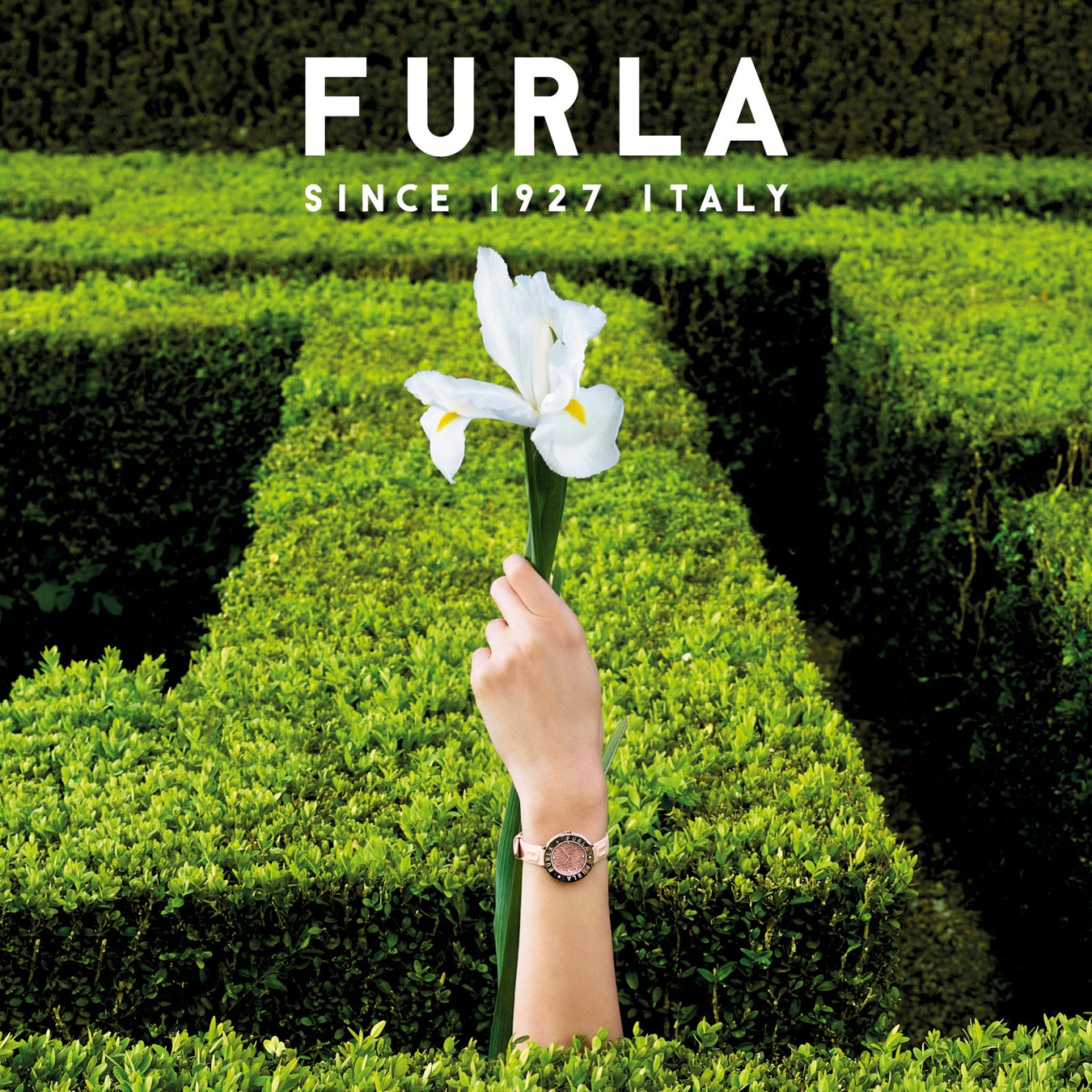 FURLA (フルラ)から、​スクエアシェイプのアイコニックなケースを使った新作ウォッチ ​『 FURLA ARCO SQUARE ...