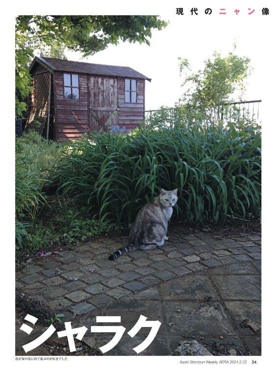 全力で猫、愛しました！「NyAERA2024」発進＆サイトもオープン！／表紙は岩合光昭さん／夢枕獏さん、佐久間大...