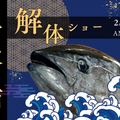 『サカナタベタイMEGAドン・キホーテ本八幡』の生本鮪解体ショーは、2024年２月18日（日）11時スタート!!