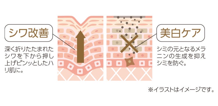 シワ改善×美白※1×抗炎症を同時に叶える最上位版オールインワンが新登場