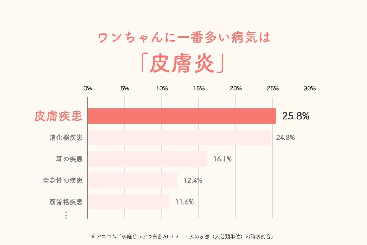 ペットの健康を第一に考えた「無添加泡シャンプー」が完成しました。