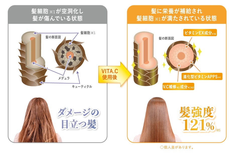 進化型ビタミン＊１配合 傷んだ髪細胞※１を集中補修「ululis VITA.C（ウルリス　ビタシー）」新シリーズ2024...