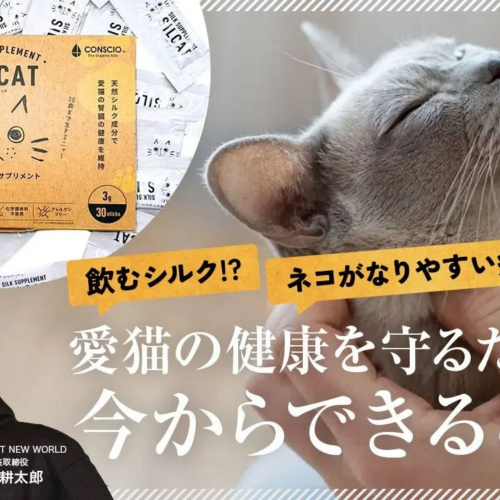 【シルクの力で猫の腎臓をケア】特許技術の”飲むシルク”を用いた猫用腎臓ケアサプリメントを販売開始。発売開...