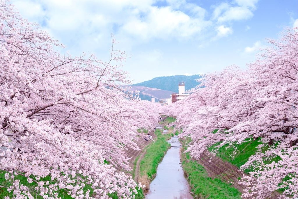 ハートフルビレッジ新大宮：奈良市法蓮町に新たな幸せを紡ぐ10区画の新築分譲地オープン！