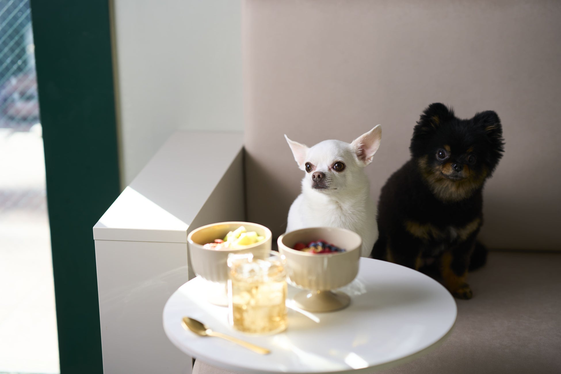 腸活グリークヨーグルト専門店『REM’S greek yogurt』が六本木に3月15日オープン