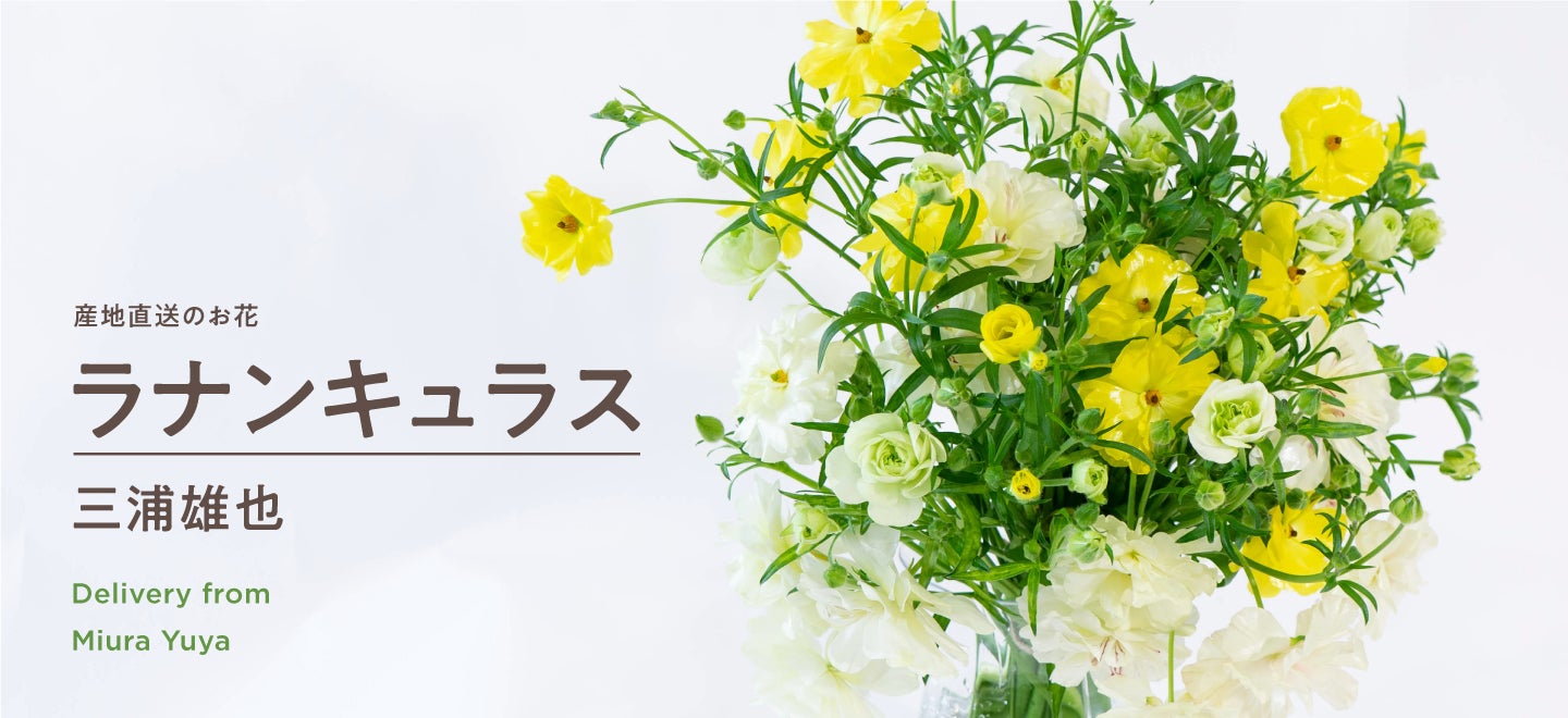 【春のお花追加】フラワーとグリーンの通販サイト「HitoHana（ひとはな）」、産地直送サービスで提携する産地...