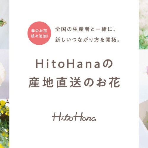 【春のお花追加】フラワーとグリーンの通販サイト「HitoHana（ひとはな）」、産地直送サービスで提携する産地...