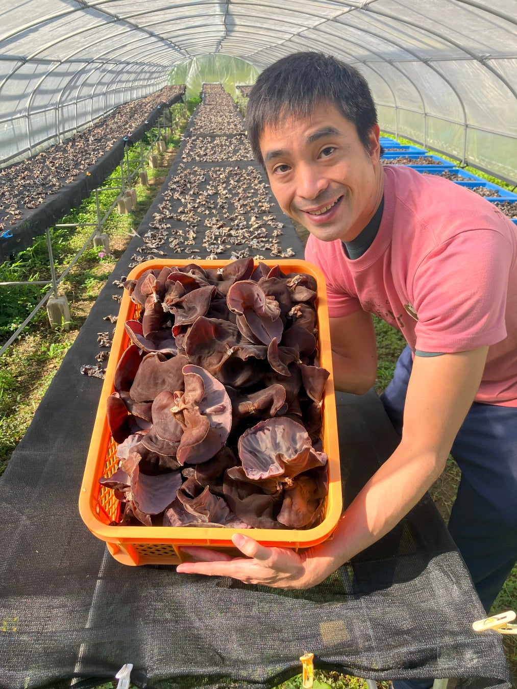 日本一の美魔女食を沖縄の村農家が開発！98％の日本人の『D』を救う
