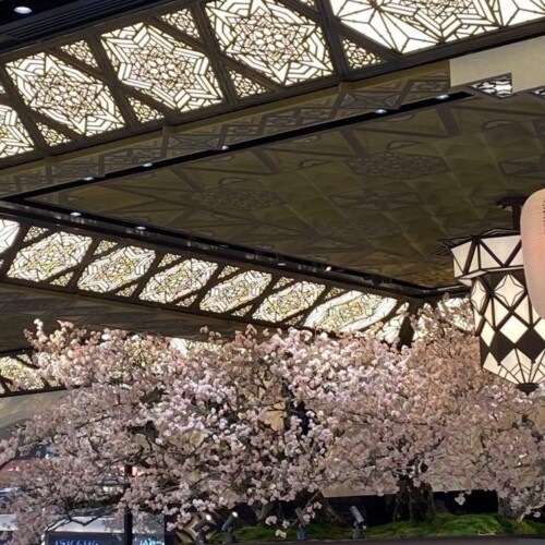 ART × 桜 × 美味 で、春を満喫！大丸心斎橋店で楽しむ、お花見特集